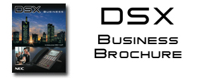 business_brochure_thumb