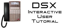 dsx_user_tutorial